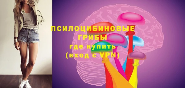 стаф Алзамай