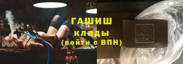 стаф Алзамай