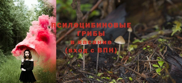 стаф Алзамай
