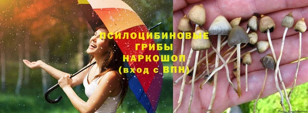 mix Армянск