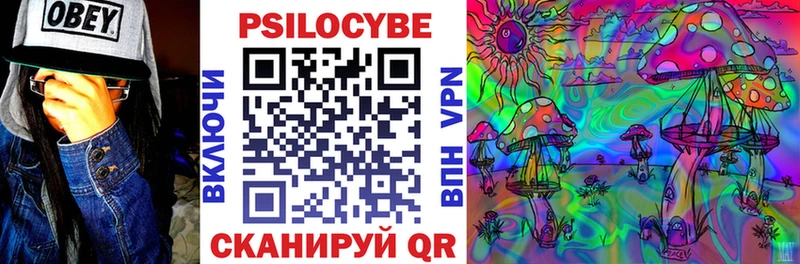 Псилоцибиновые грибы Psilocybe Михайловск