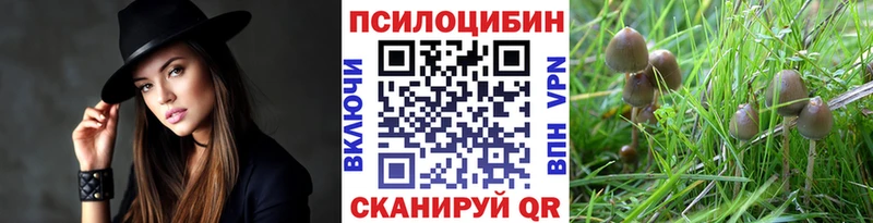 Галлюциногенные грибы Magic Shrooms  дарнет шоп  Михайловск 